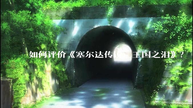 如何评价《塞尔达传说：王国之泪》？